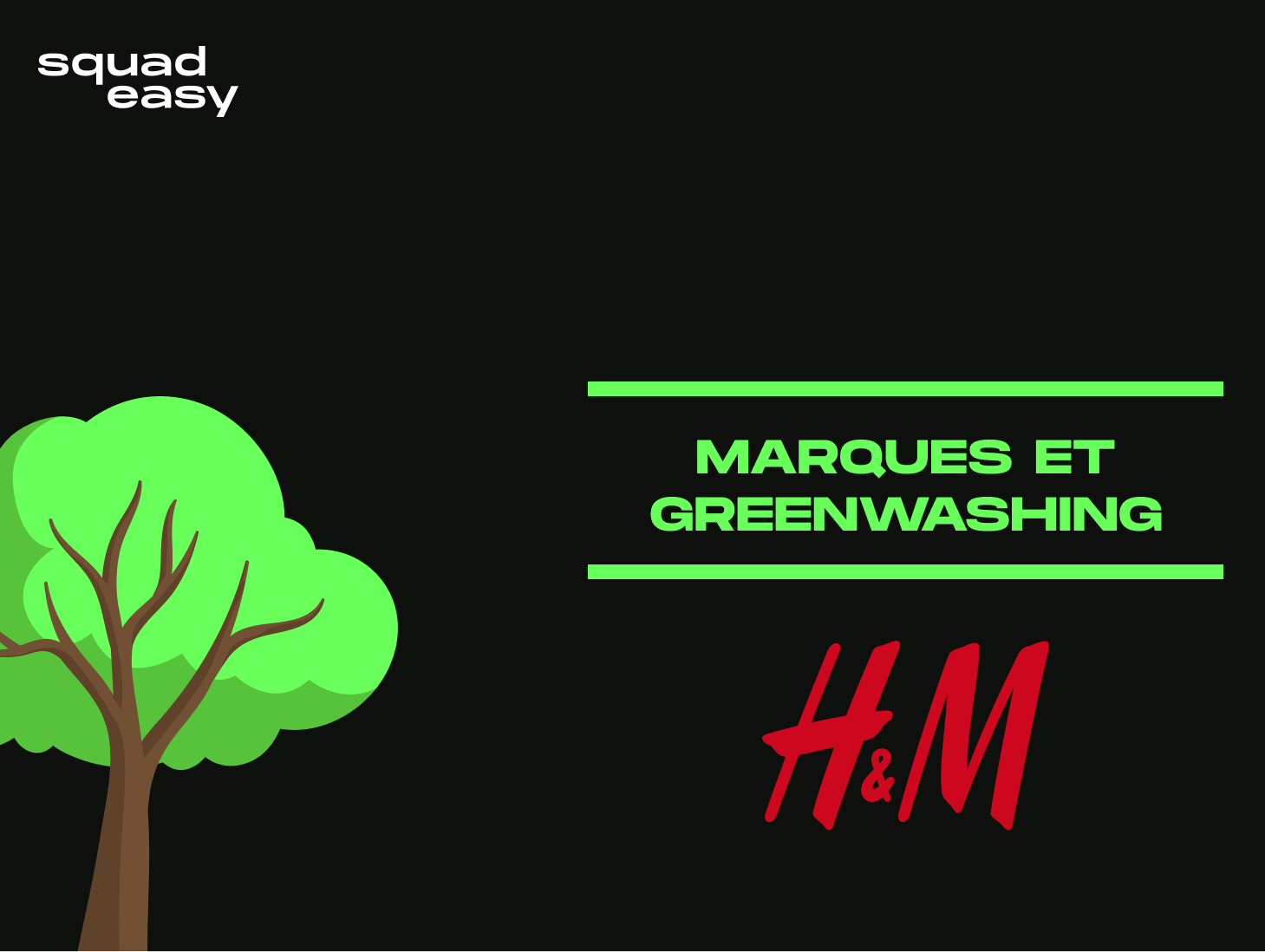 Marques et Greenwashing _ le cas H&M
