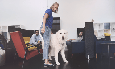 animalentreprise-image1.png